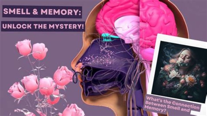#1,571 Smell Memories.
– Laurel Mercantile