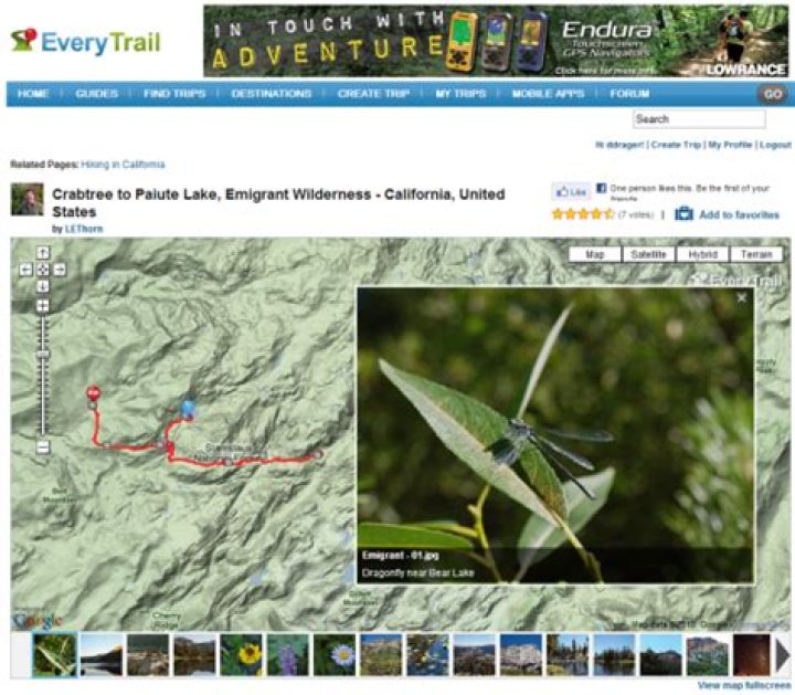 10 Sites To Find Best Walking, Running & Hiking Trails
