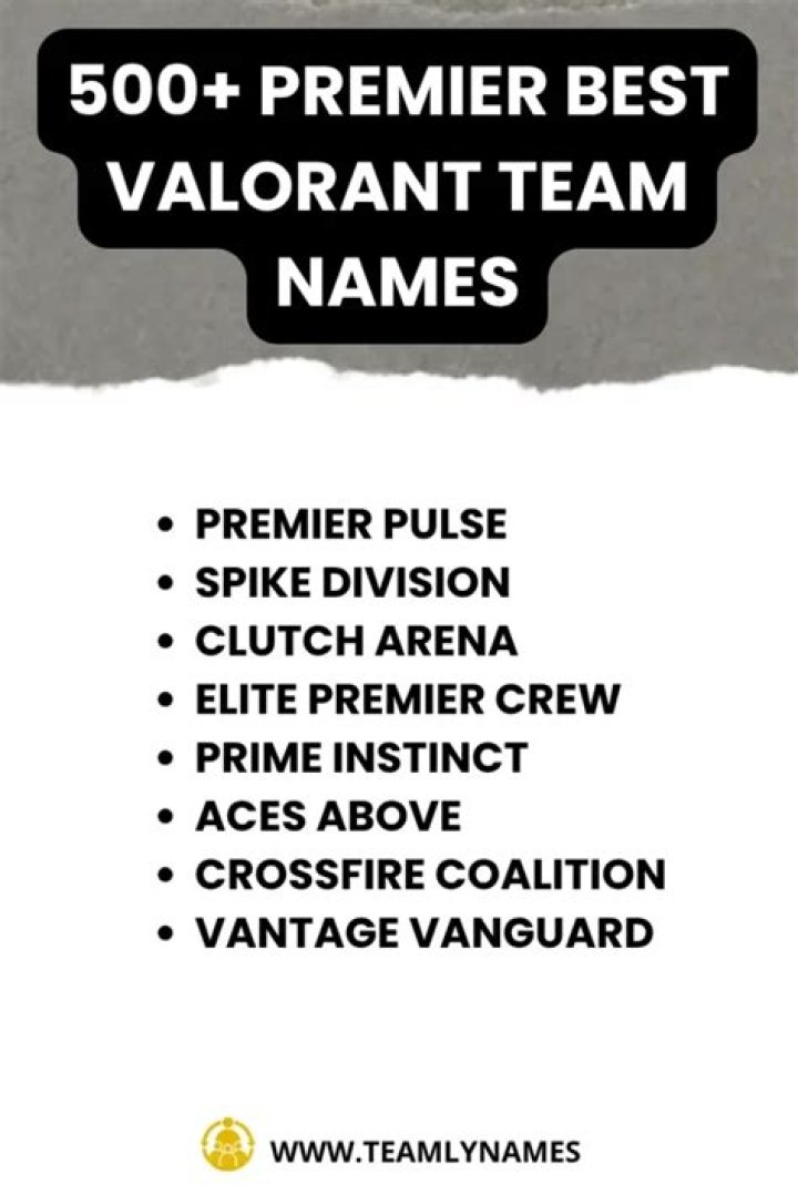 100 best Valorant team names for Premier