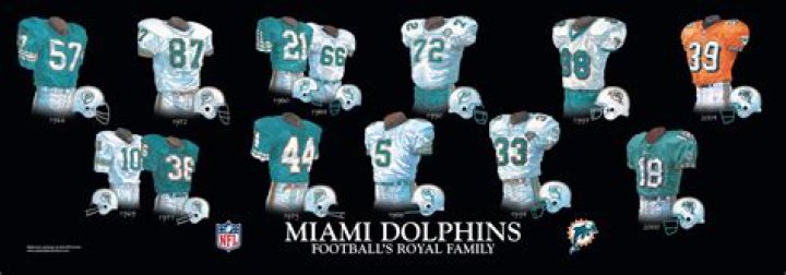 	1994 Dolphins: Some ex-players succeed, some fall on hard times	