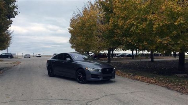 2017 Jaguar XE: Even kittens can roar