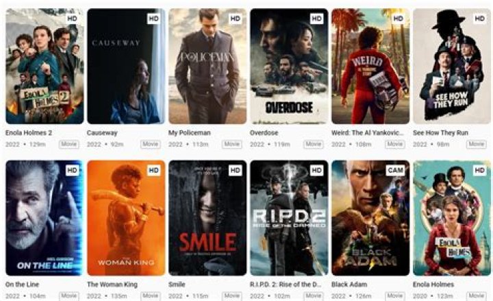 24 Movierulz: The Ultimate Guide To Movie Streaming And Downloading