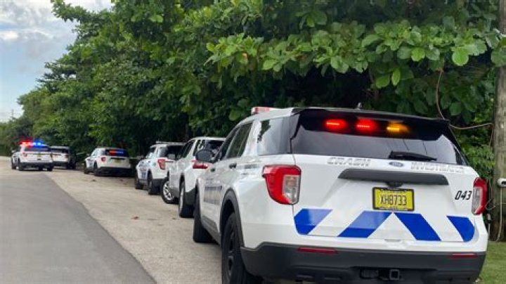 3 suitcases with human remains found floating in Florida: police