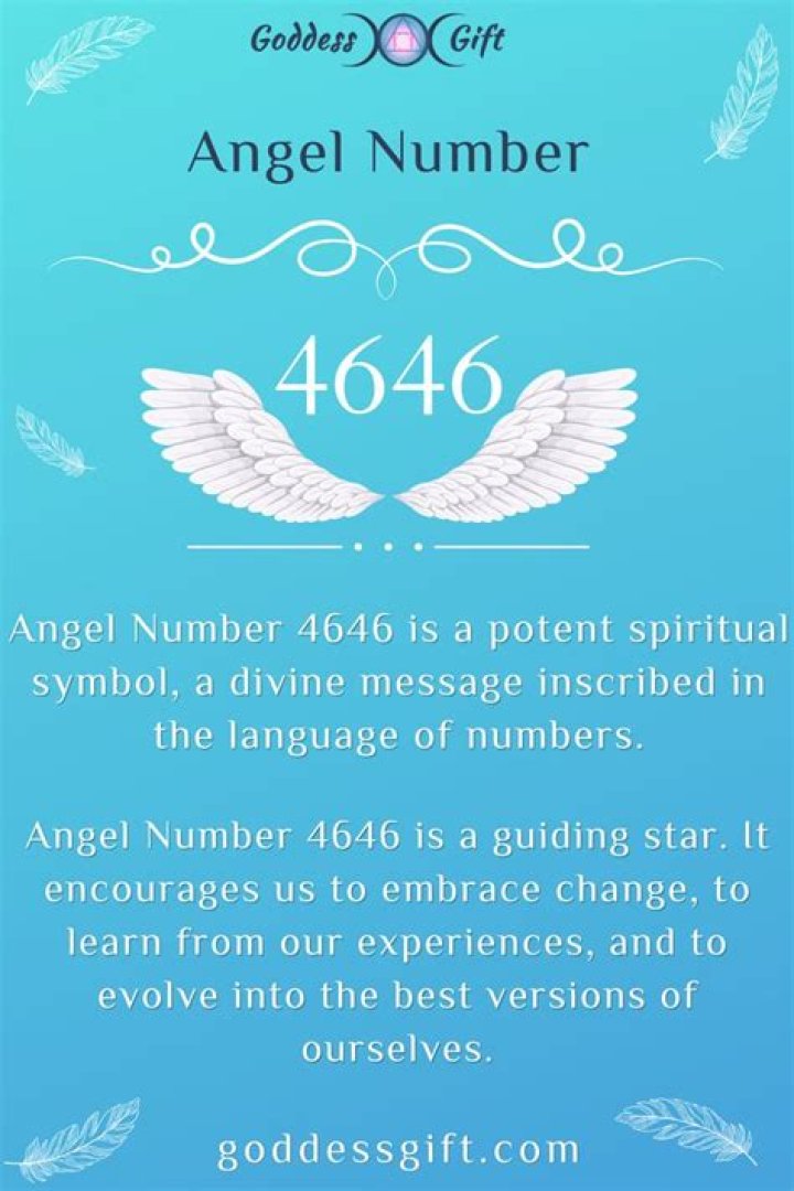 4646 Angel Number