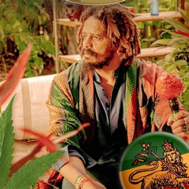 5 Unmissable Facts About Rohan Marley