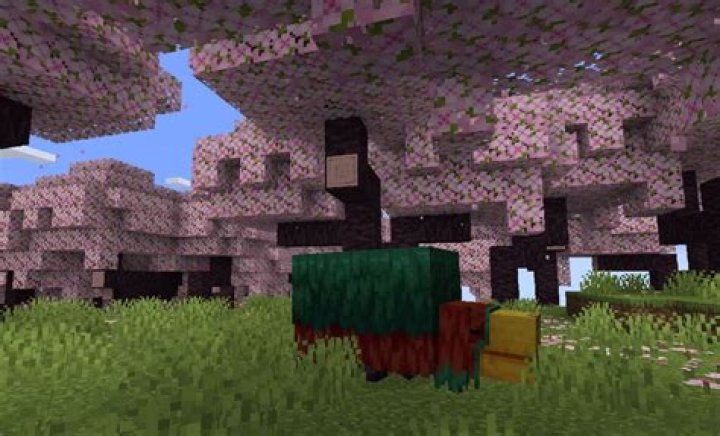 7 best seeds for cherry biome in Minecraft snapshot and beta 