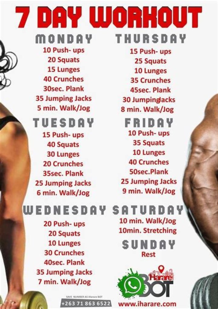 7 day Workout Plan | Workout Plans