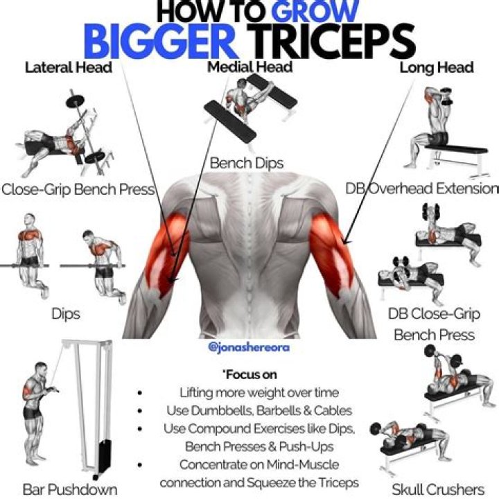 8 Workouts For Bigger Triceps