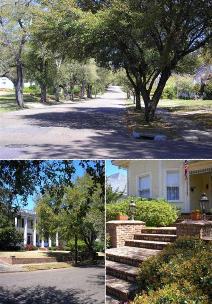 #89 Let’s go walkin’, Mississippi!
– Laurel Mercantile