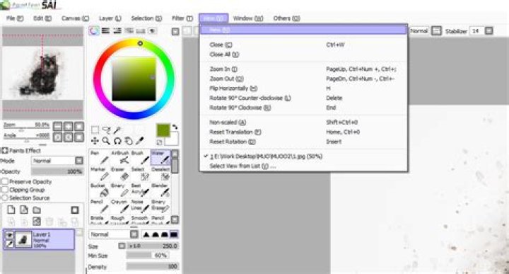 9 PaintTool SAI Tips for Beginners