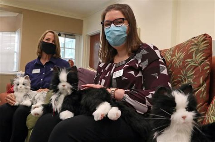 	A purr-fect companion: Can robotic cats help isolated dementia patients?	