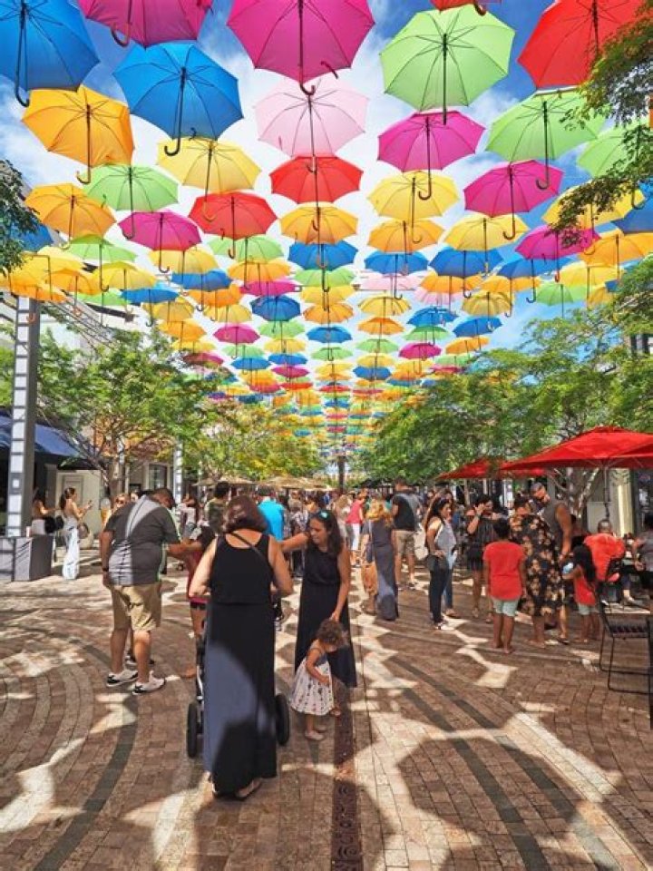 	A sneak peek at the replacement for ‘Umbrella Sky’ in Coral Gables	