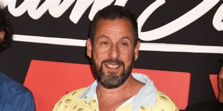 Adam Sandler's Meatball: A Delicious Dive Into Comedy And Cuisine