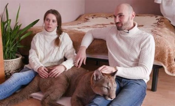 Alexander And Mariya Dmitriev Net Worth | Bio, Family, Address, Career