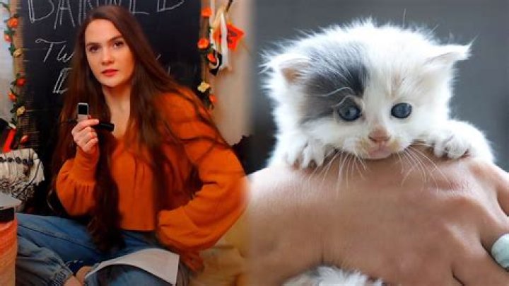 Alisha12287 responds after Twitch ban over alleged kitten mill