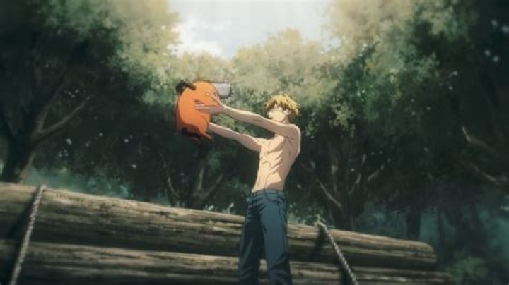 All Chainsaw Man arcs in chronological order 