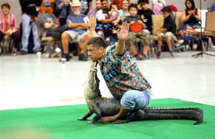 	Alligator wrestling, music by Jonny Lang at Seminole Tribal Fair and Pow Wow	