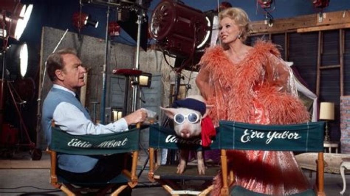 	ALVY MOORE, 75, ACTOR OF ‘GREEN ACRES’ FAME	