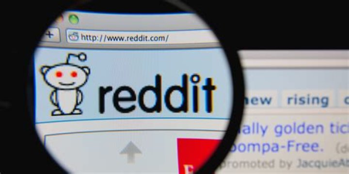 An Insider's Guide to Building a Popular Reddit Community