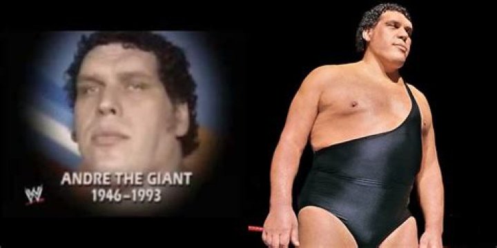André The Giant: A Life And Legacy Remembered After His Death