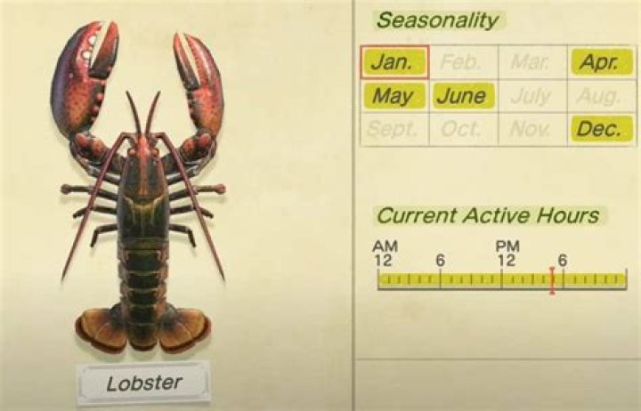 Animal Crossing New Horizons: All New December Fish & Bugs You Can Catch
