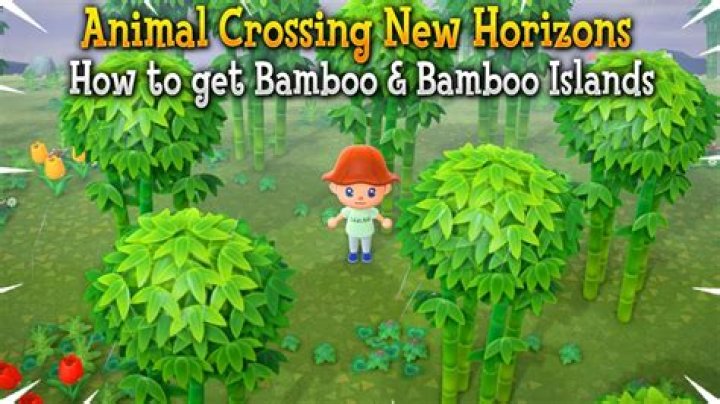 Animal Crossing: New Horizons Bamboo: Where to Find