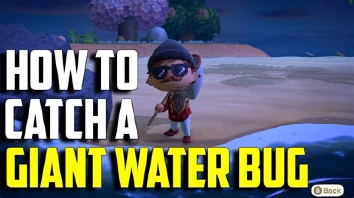 Animal Crossing New Horizons: How to Catch Giant Water Bug, Sell Price