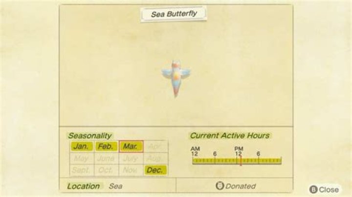 Animal Crossing New Horizons: How to Get Sea Butterfly