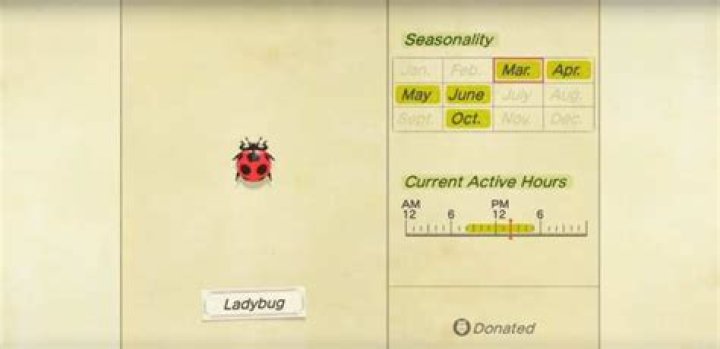 Animal Crossing New Horizons Ladybug: How to Catch, Location, Sell Price
