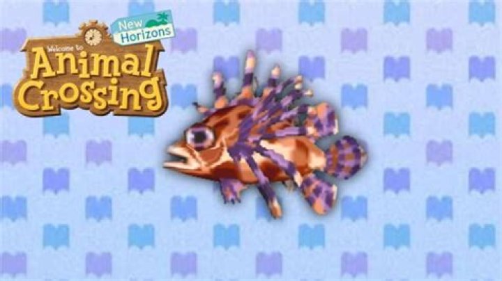 Animal Crossing: New Horizons Zebra Turkeyfish: When Does it Spawn?