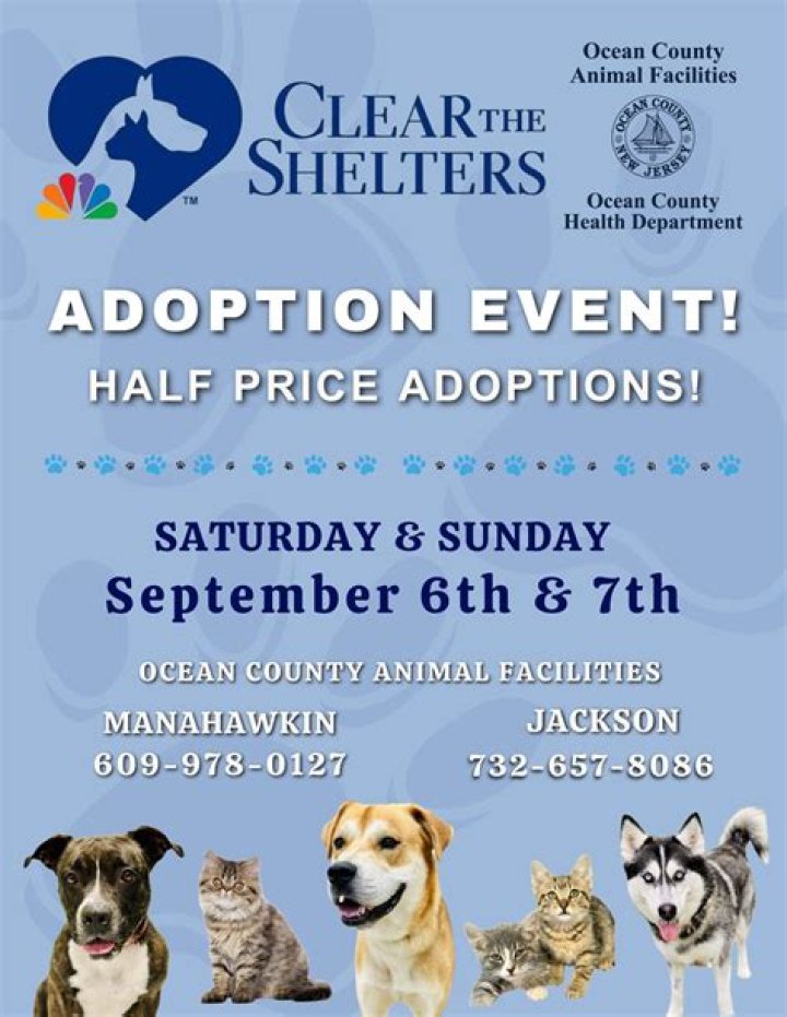 	Animal rescue kicks off campaign	