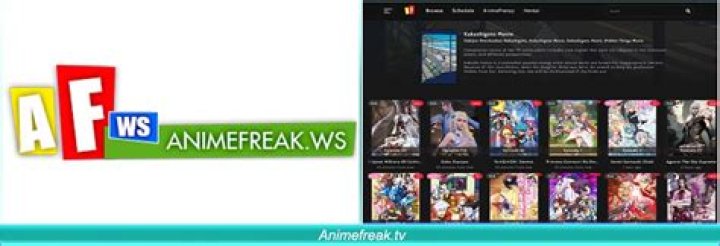 animefreak.tv login safely, analysis & comments