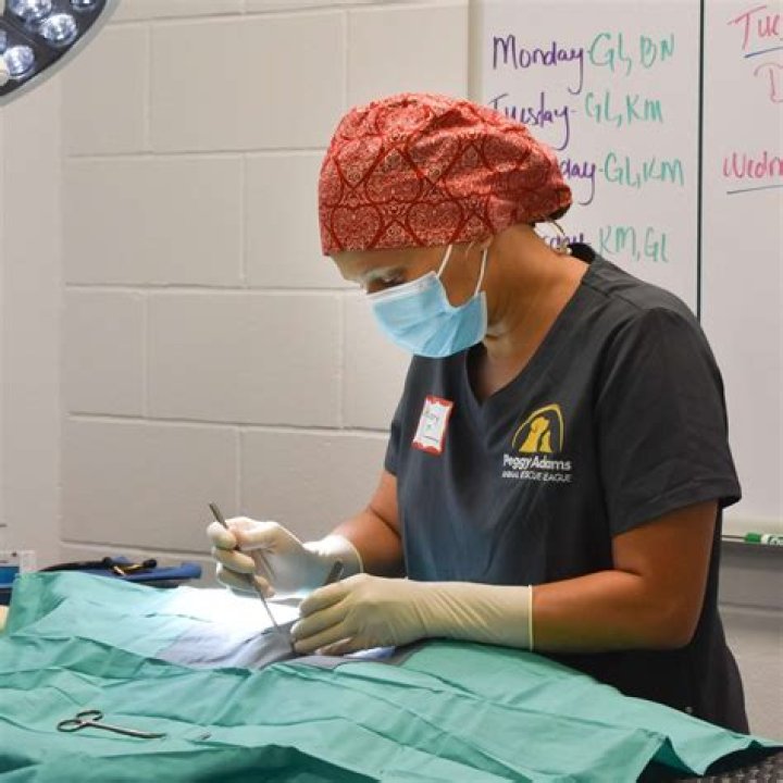 	Another Successful “Spay Day” at Peggy Adams	