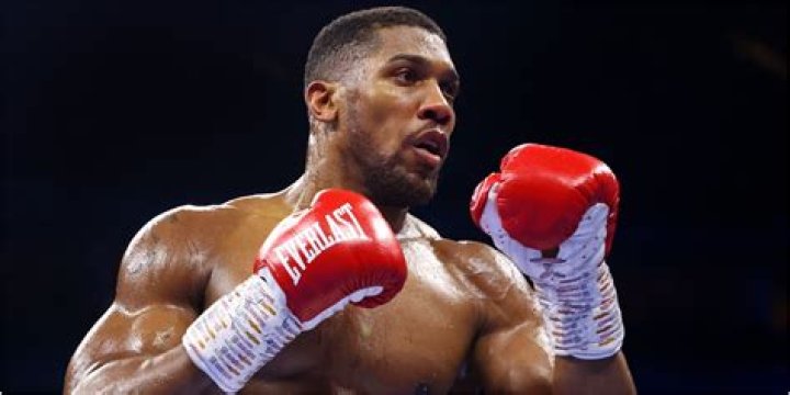Anthony Joshua Vermögen