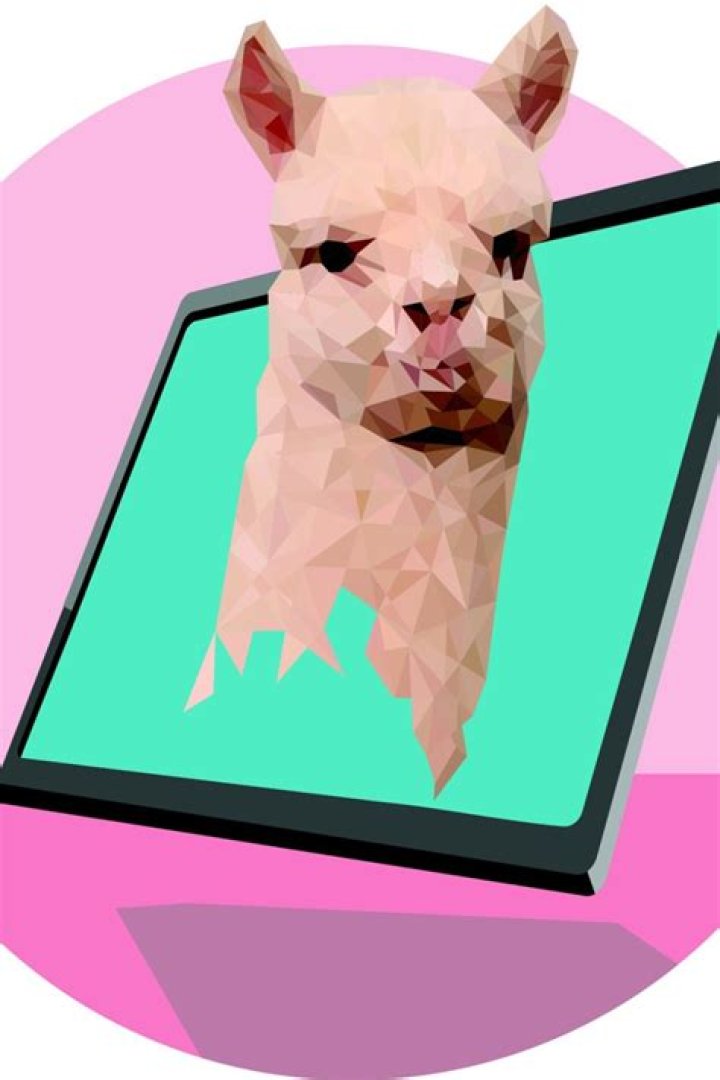 App-aca madness! Apps for alpaca lovers - YP