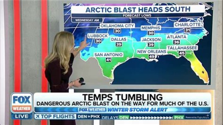	Arctic blast to bring iguana-freezing temps to South Florida — just in time for Christmas	