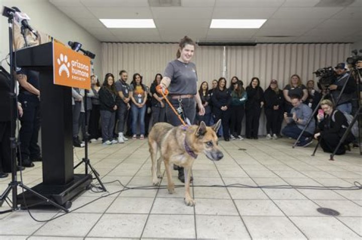 Arizona Humane Society partners up with state senator on new bill