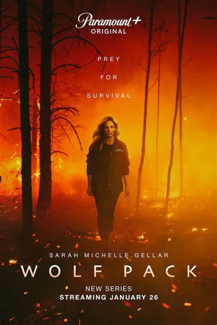 ARMANI JACKSON TO STAR IN THE NEW PARAMOUNT+ SERIES, “WOLF PACK”