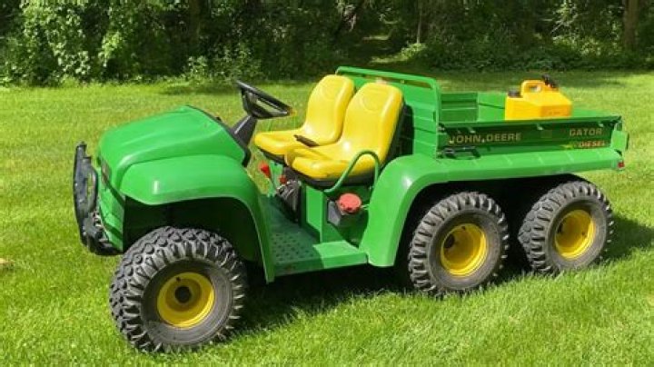 	As hardy as an old gator	