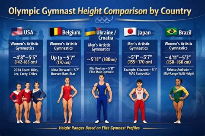 Average Olympic Gymnast Height: What You Need To Know