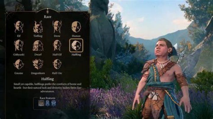 Baldur's Gate 3 Studio Reveals Most Popular Player Character Classes and Races