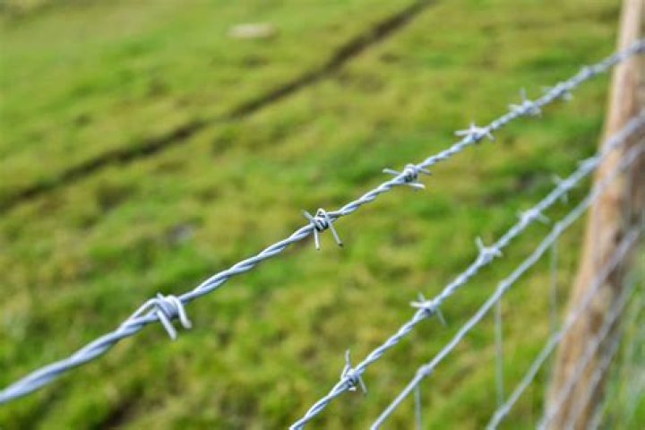 	‘BARB WIRE’: THE PLOT LINE JIGGLES, TOO	