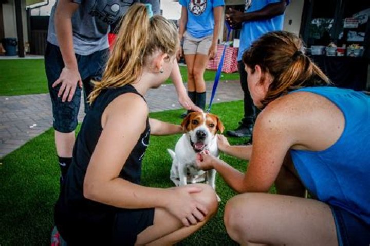 	Big Dog Ranch Rescue adopt-a-thon to help replenish resources after Hurricane Dorian	