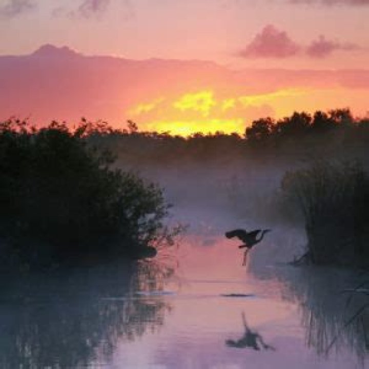 	Big Sugar’s assault on the Everglades | Opinion	