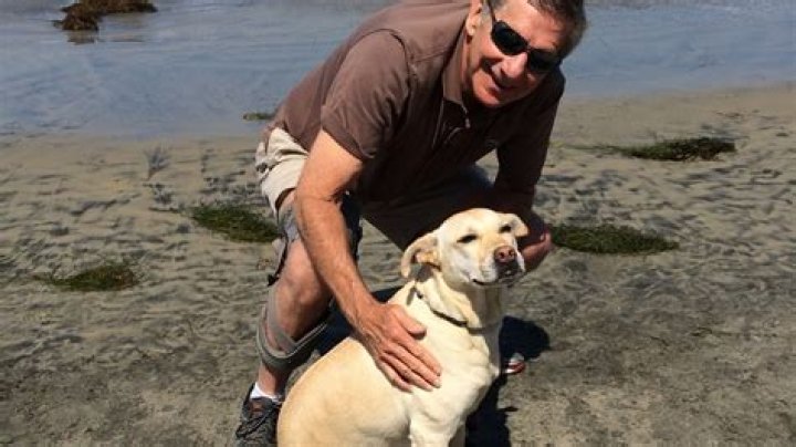 	Boynton to set rules to allow dogs on beach	