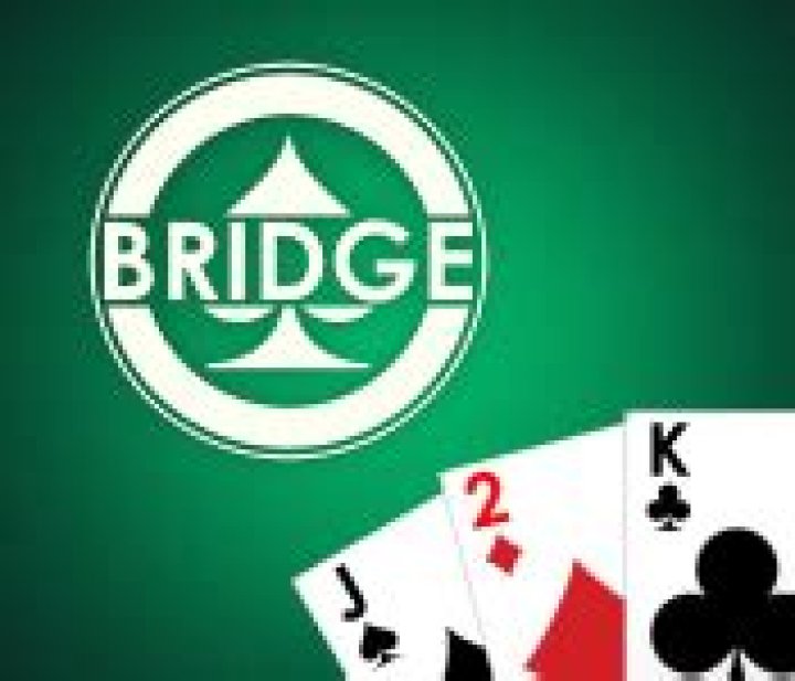 Bridge - Play Online on SolitaireParadise.com
