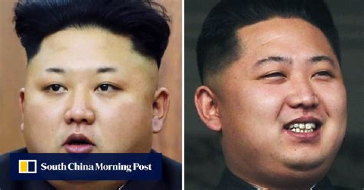 Brow you see them: Kim Jong-un sports bizarre shrunken eyebrows in 2015 speech