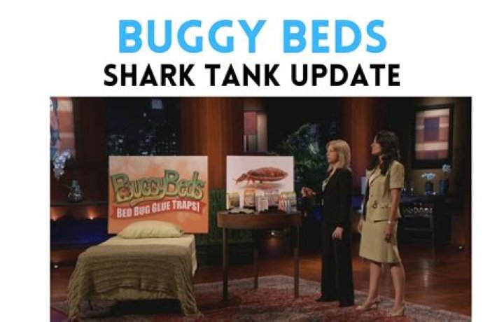 Buggy Beds Shark Tank Net Worth 2024