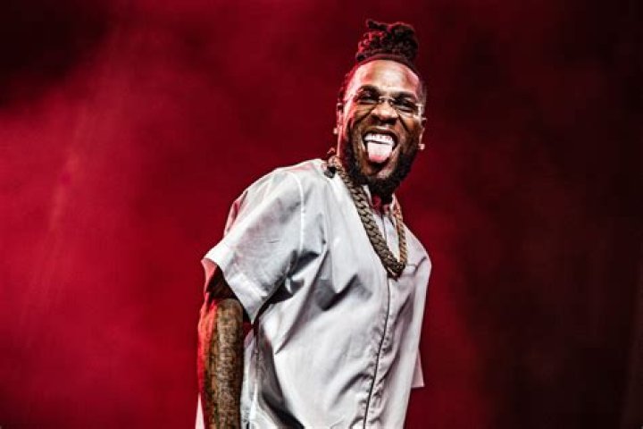 Burna Boy Net Worth 2024: A Deep Dive Into His Success