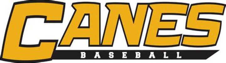 	‘Canes baseball kicks off season with Fan Fest event, Alumni Game	